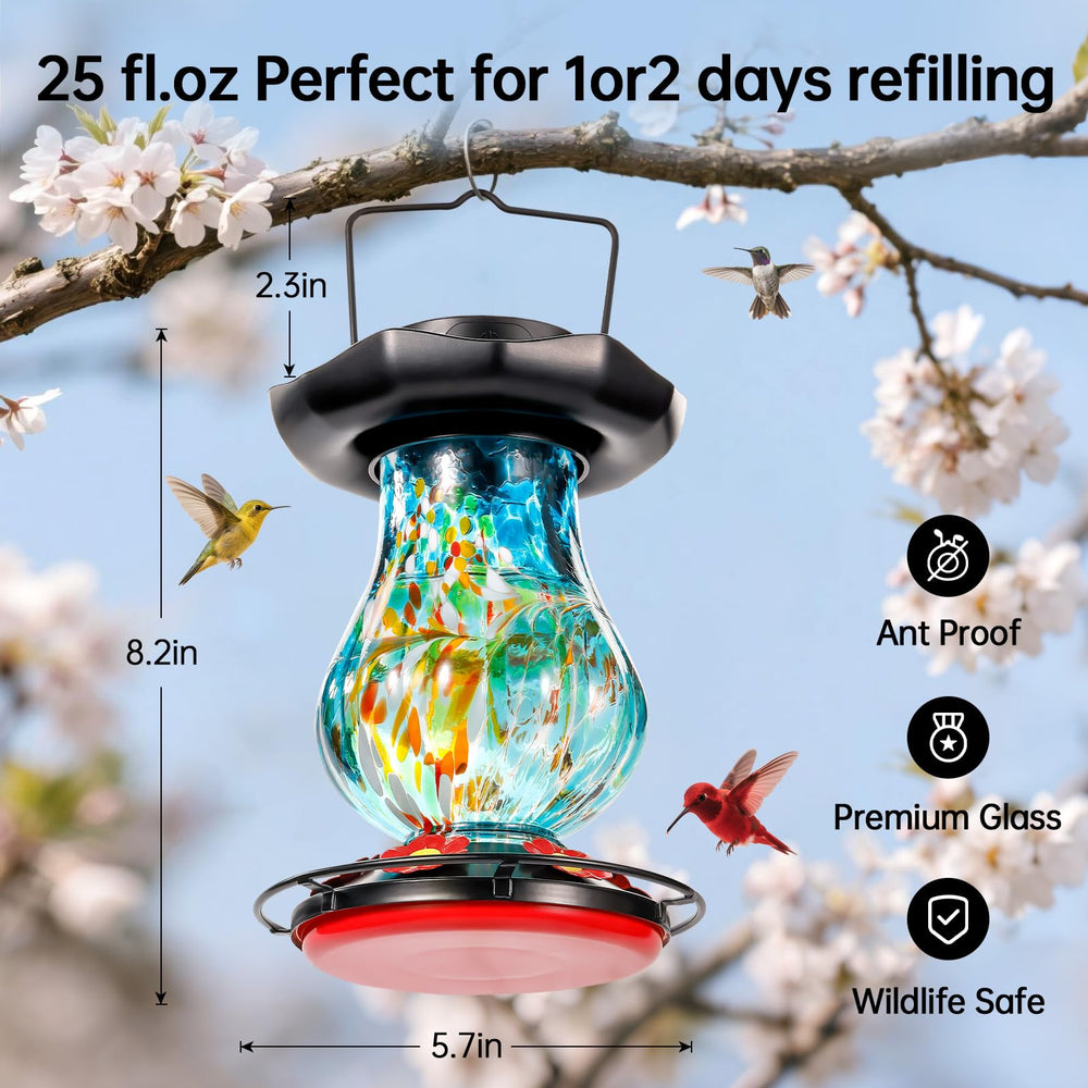 DesGully feeder with hummingbird feeding, promotes longer viewing and wildlife visits