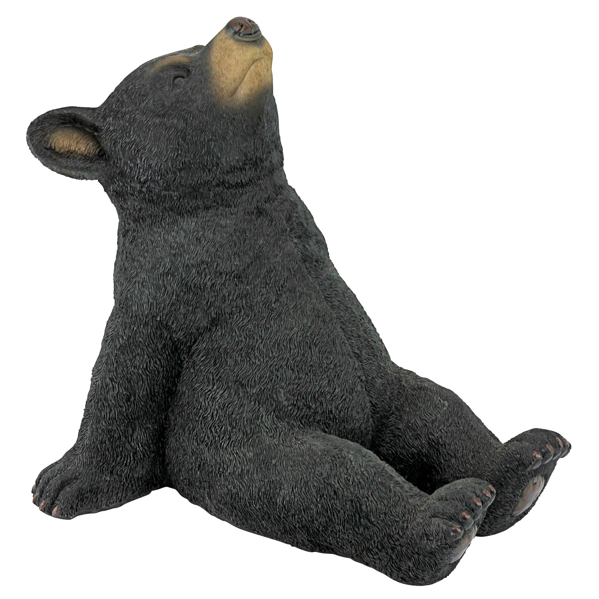 Design Toscano front view of bear cub statue showing charming posture and durable finish