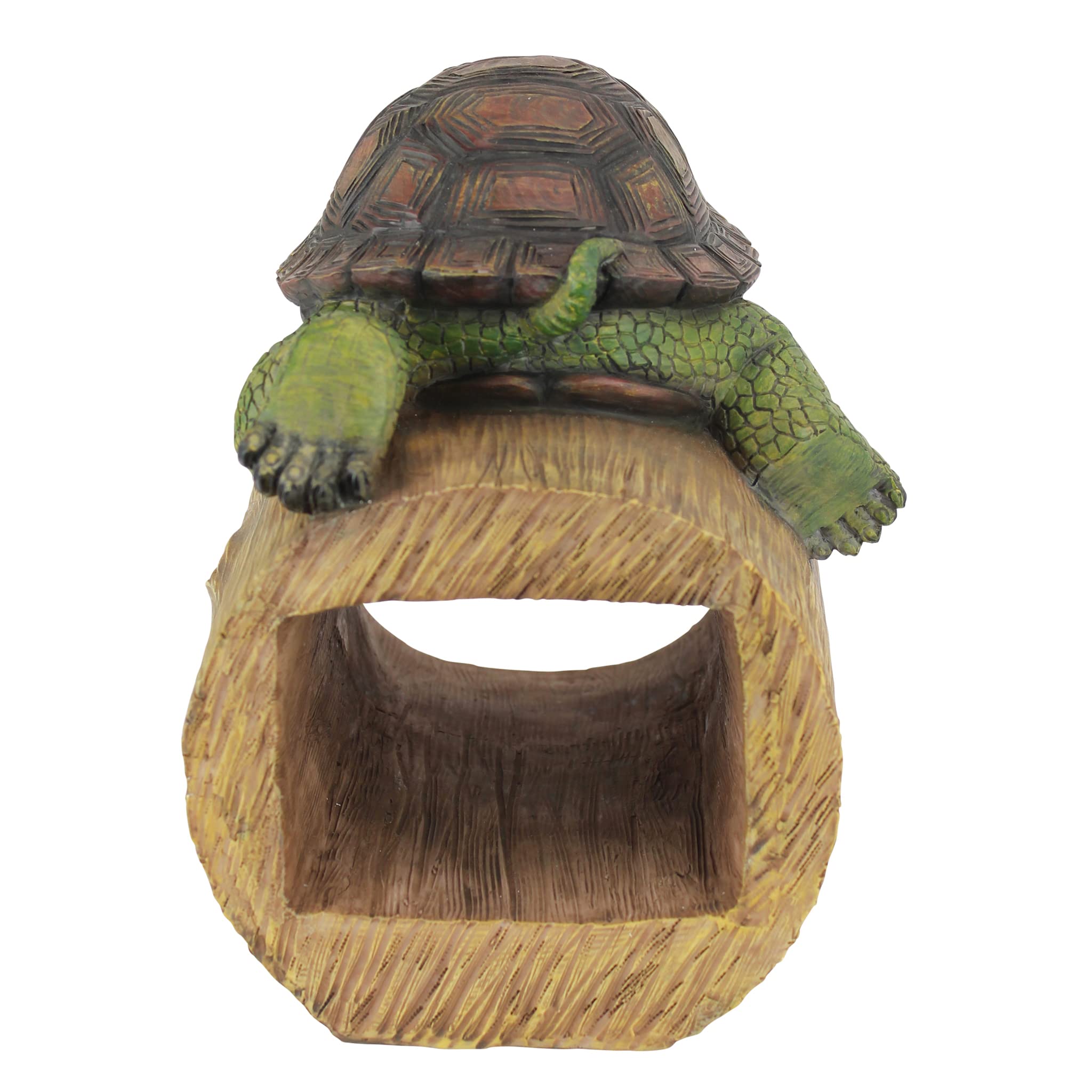 Design Toscano turtle attached to downspout diverting rain, protects foundation