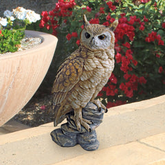 Design Toscano owl close-up feather detail highlighting realistic texture and depth