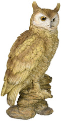 Design Toscano owl front view showing lifelike pose and garden-ready finish