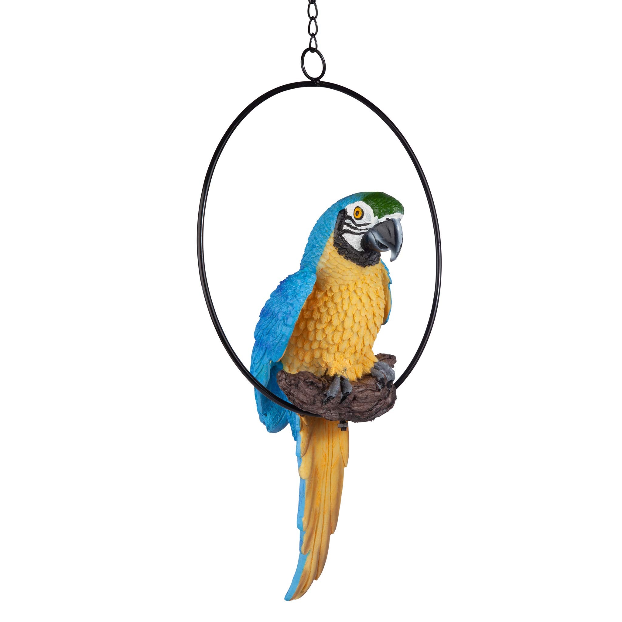 Design Toscano parrot front view showing vibrant colors and island appeal