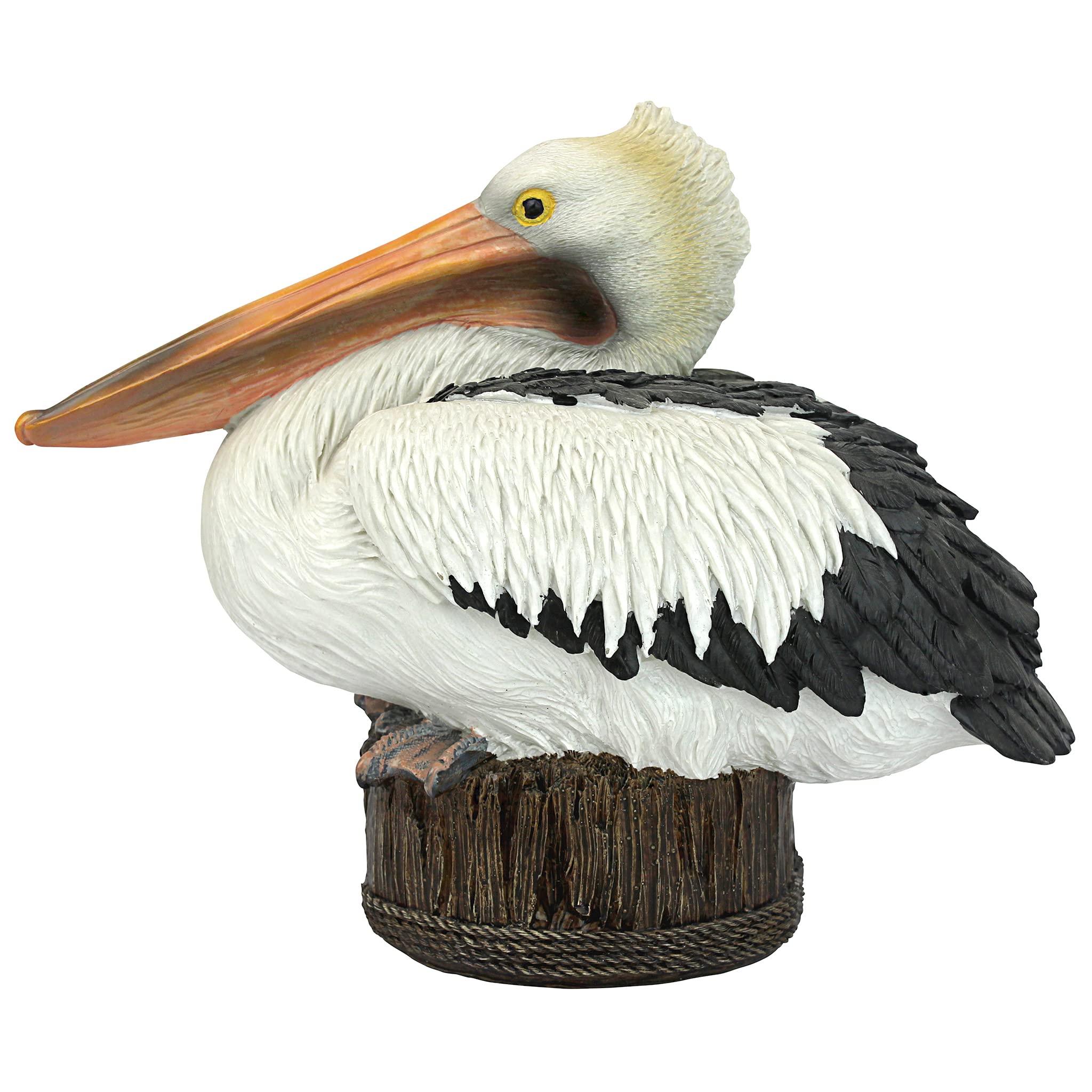 Design Toscano front view of pelican statue showing realistic pose and coastal charm