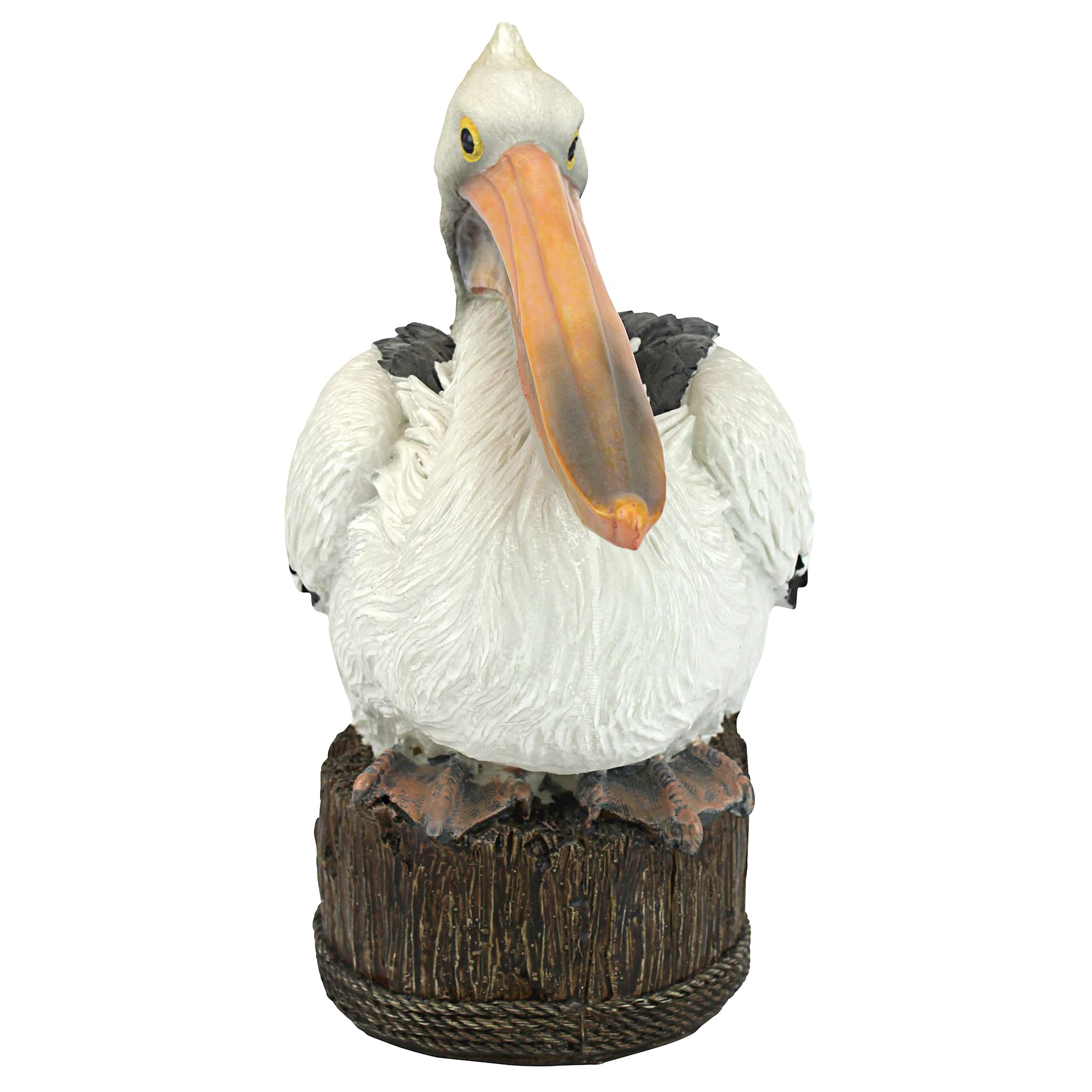 Design Toscano side profile focusing on long bill for lifelike coastal accent