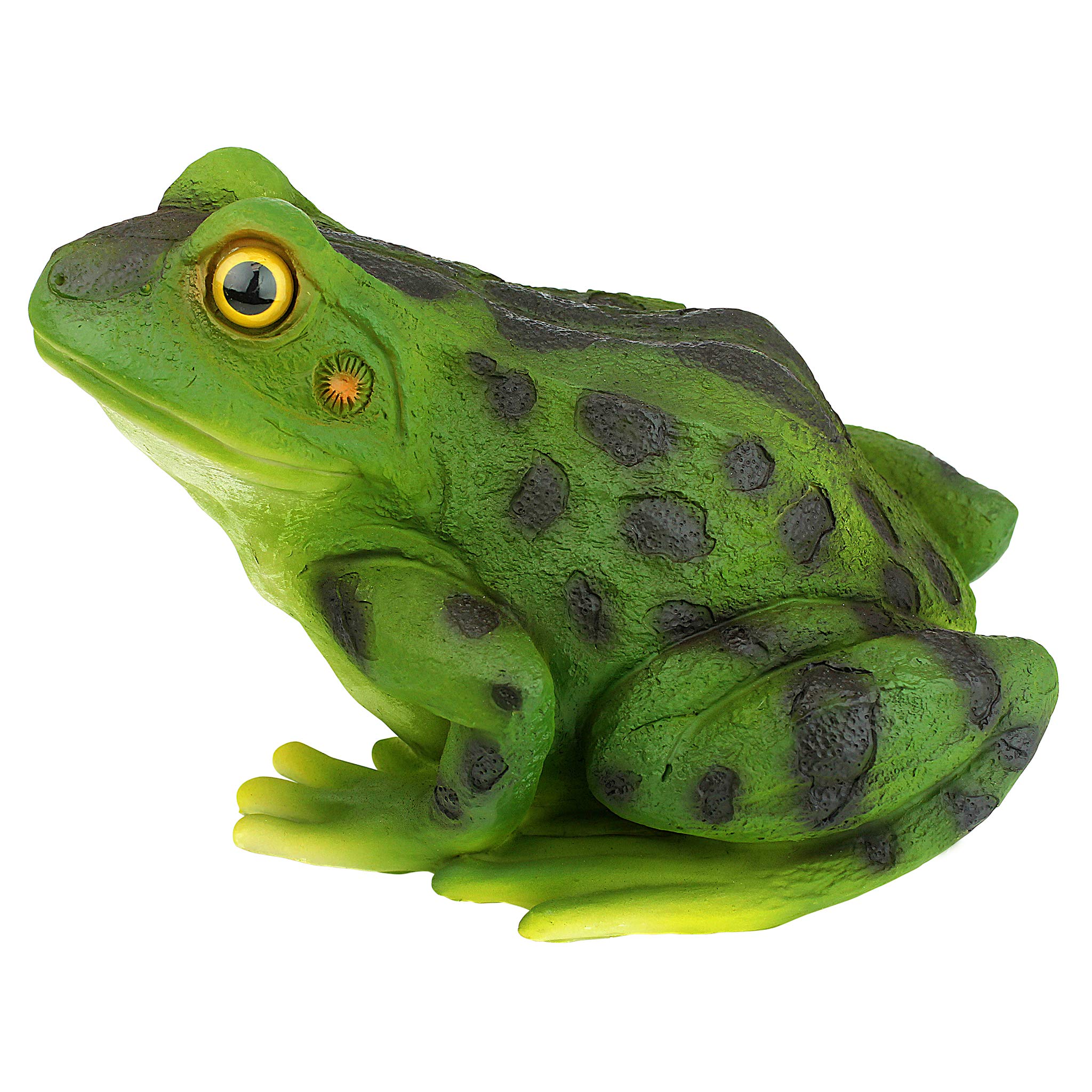 Design Toscano close-up of Ribbit's bulging eyes highlighting sculpted detail and appeal