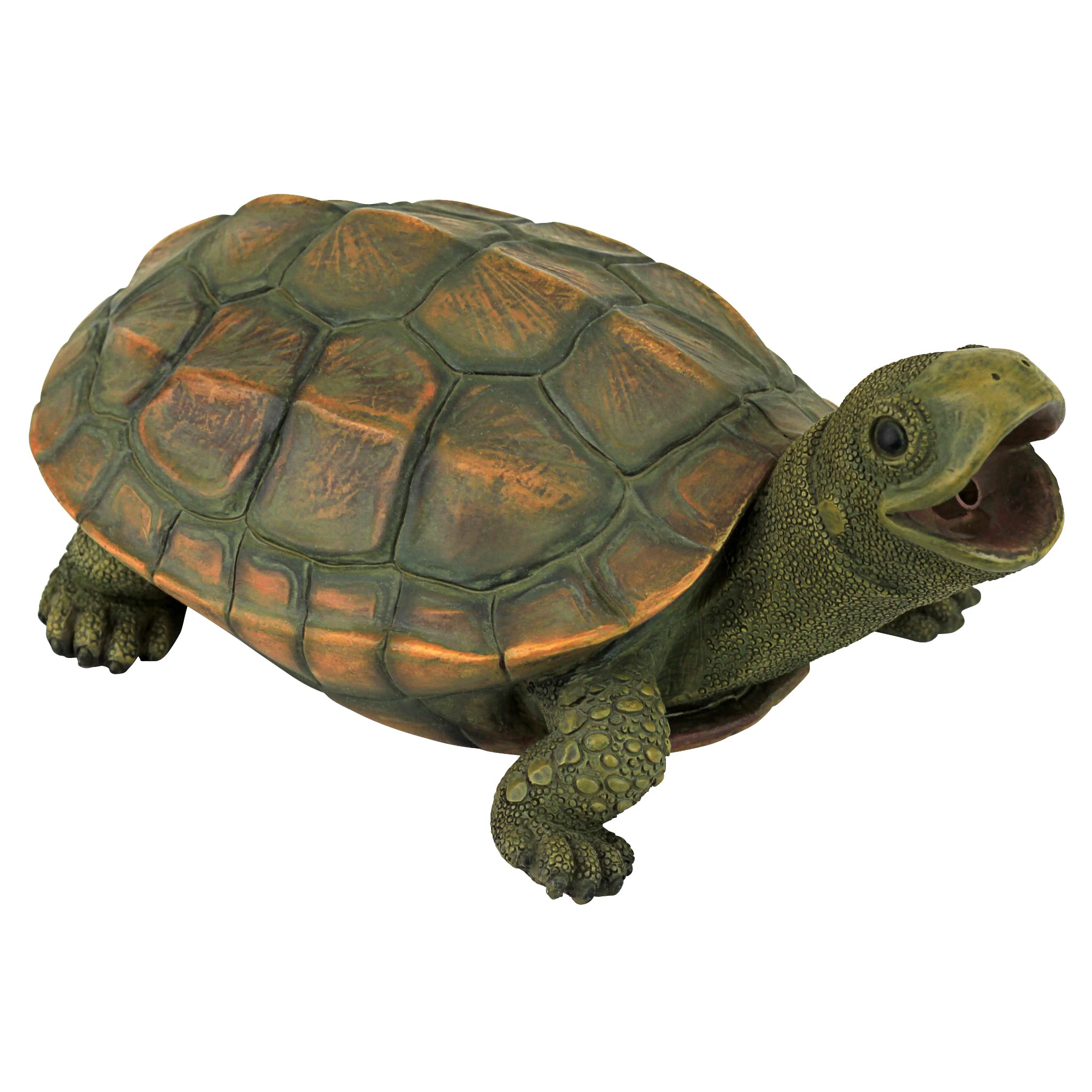 Design Toscano Sprinke front view showing turtle shape and decorative appeal