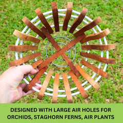 DESQUIGGLE basket with orchid planted demonstrating secure anchoring and improved air circulation