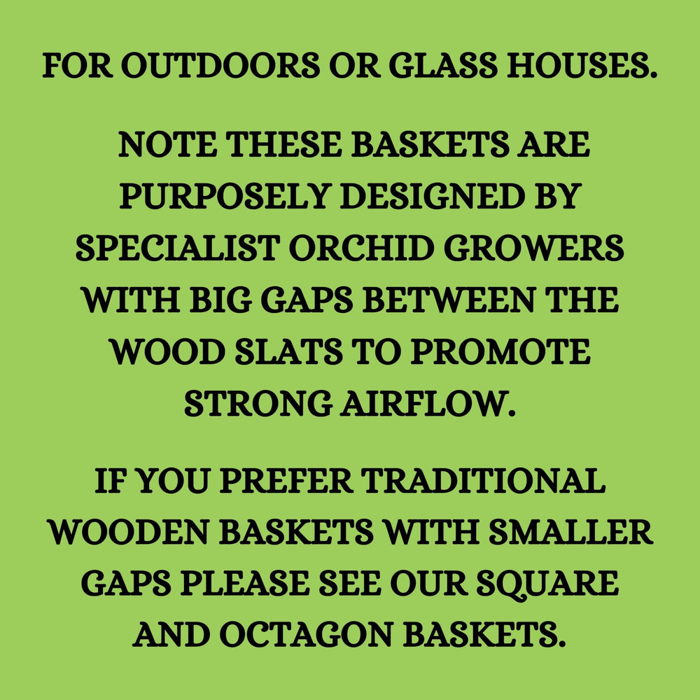DESQUIGGLE baskets suspended from tree showing natural mounting and sunlight exposure benefits