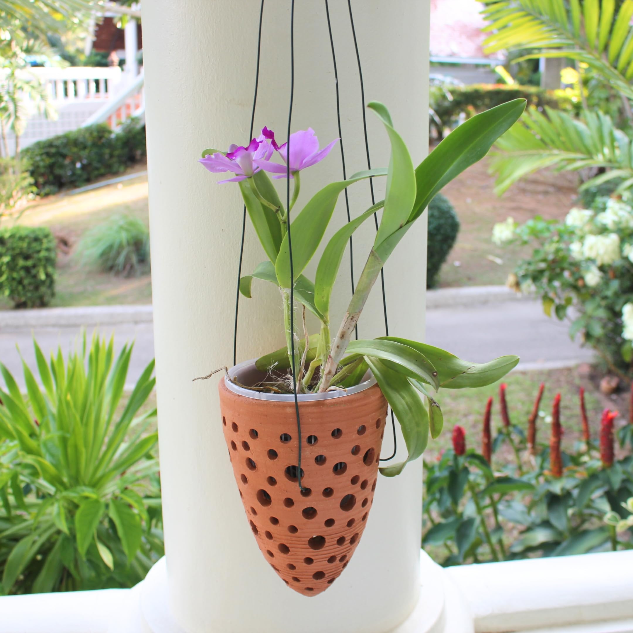 DESQUIGGLE outdoor patio display demonstrating attractive hanging garden benefit