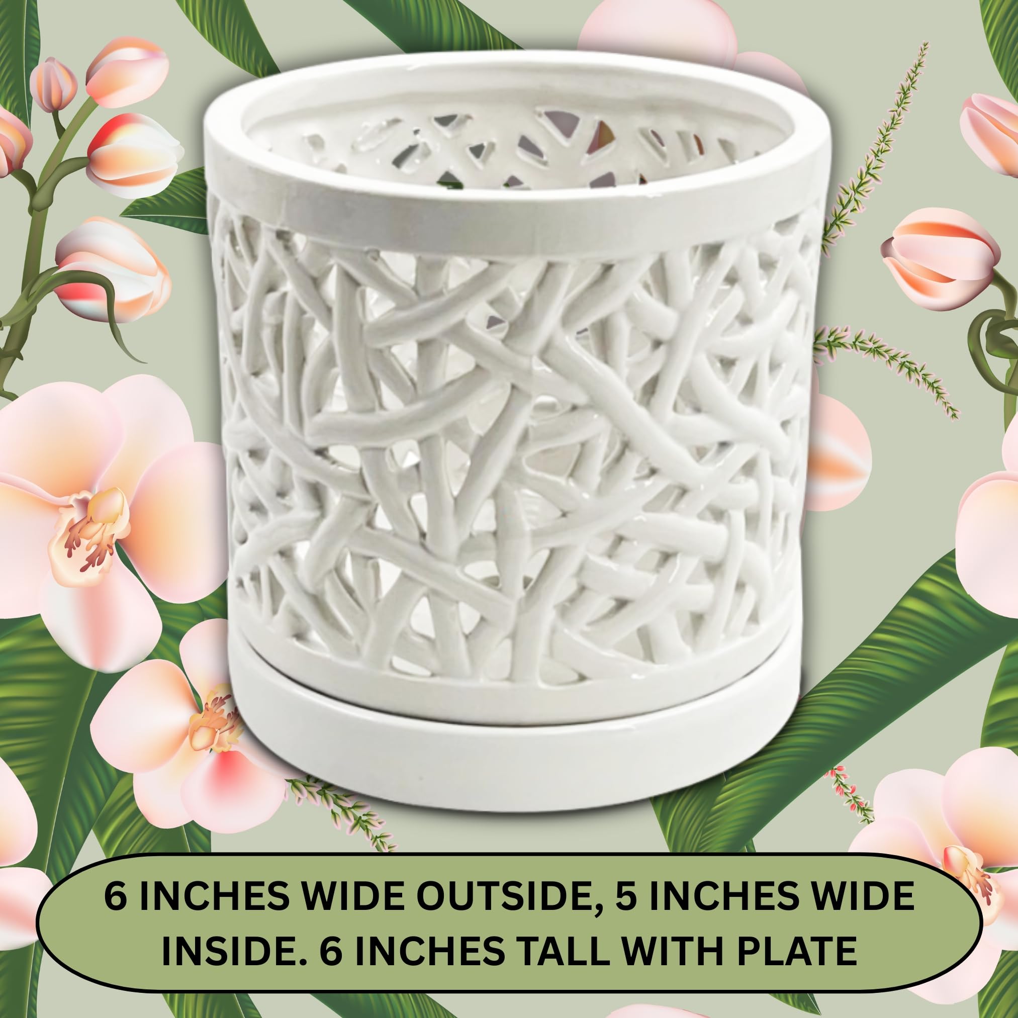 DESQUIGGLE overhead shot of removable plastic insert inside pot for simple repotting benefit