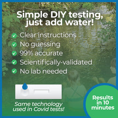 Detekt close-up of test reaction strip showing clear result for quick interpretation