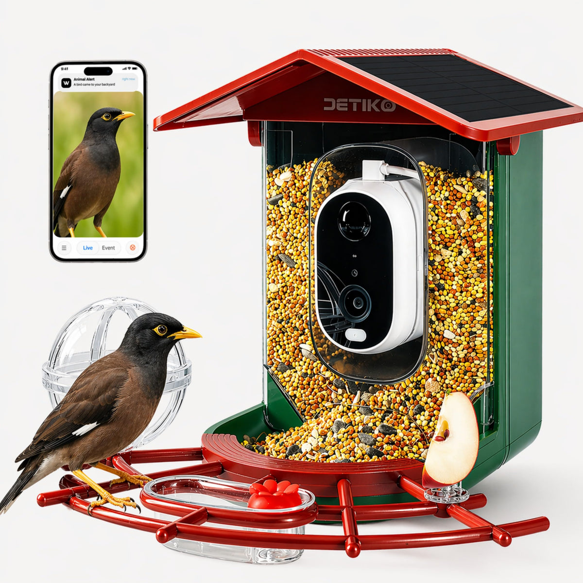 DETIKO front view showing feeder camera and clear 2K lens benefit real-time observation