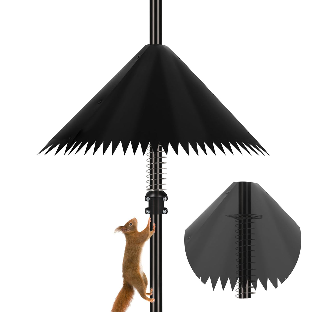 Detoypapa front view of 19-inch baffle showing sleek cone deterring squirrels