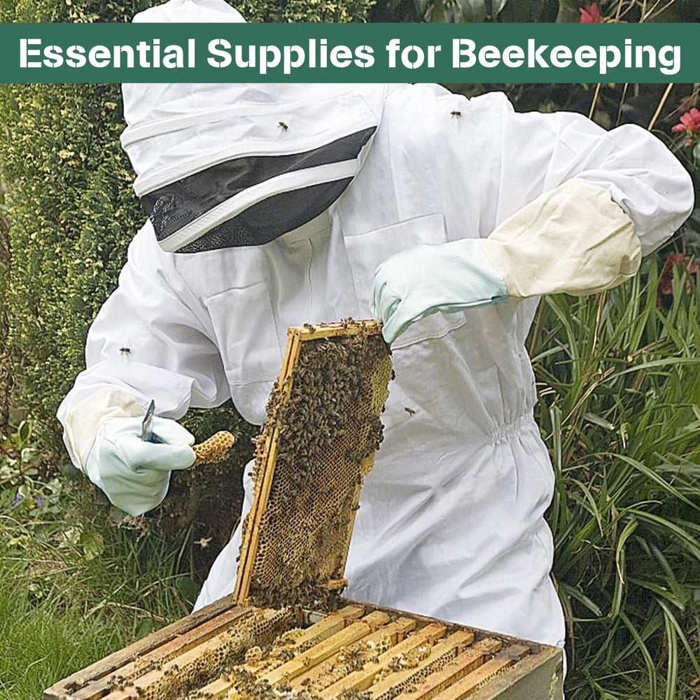 Deuovht suit pockets and scale comparison showing storage and fit