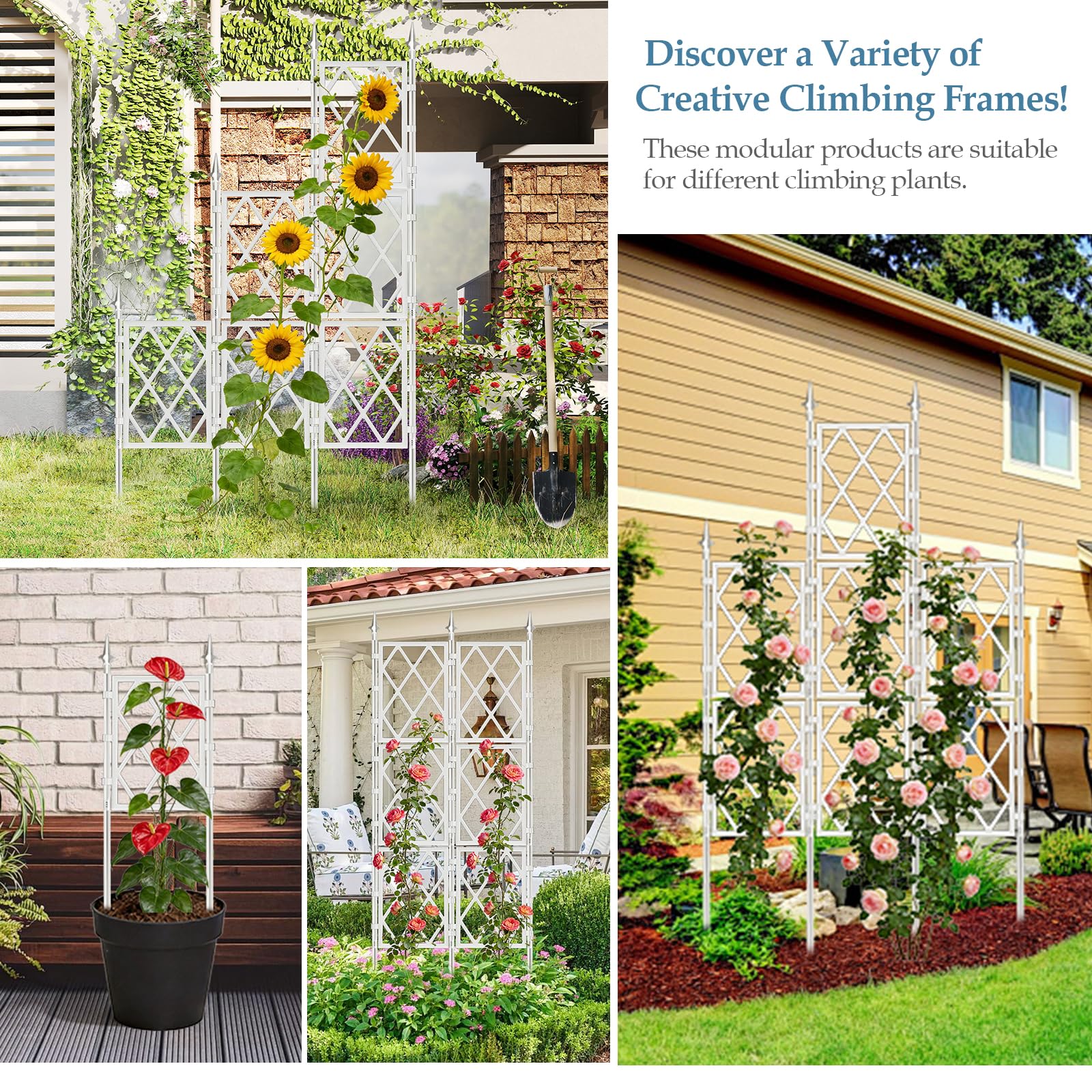 DEVISEFUN trellis mounted on wall offering space-saving vertical support