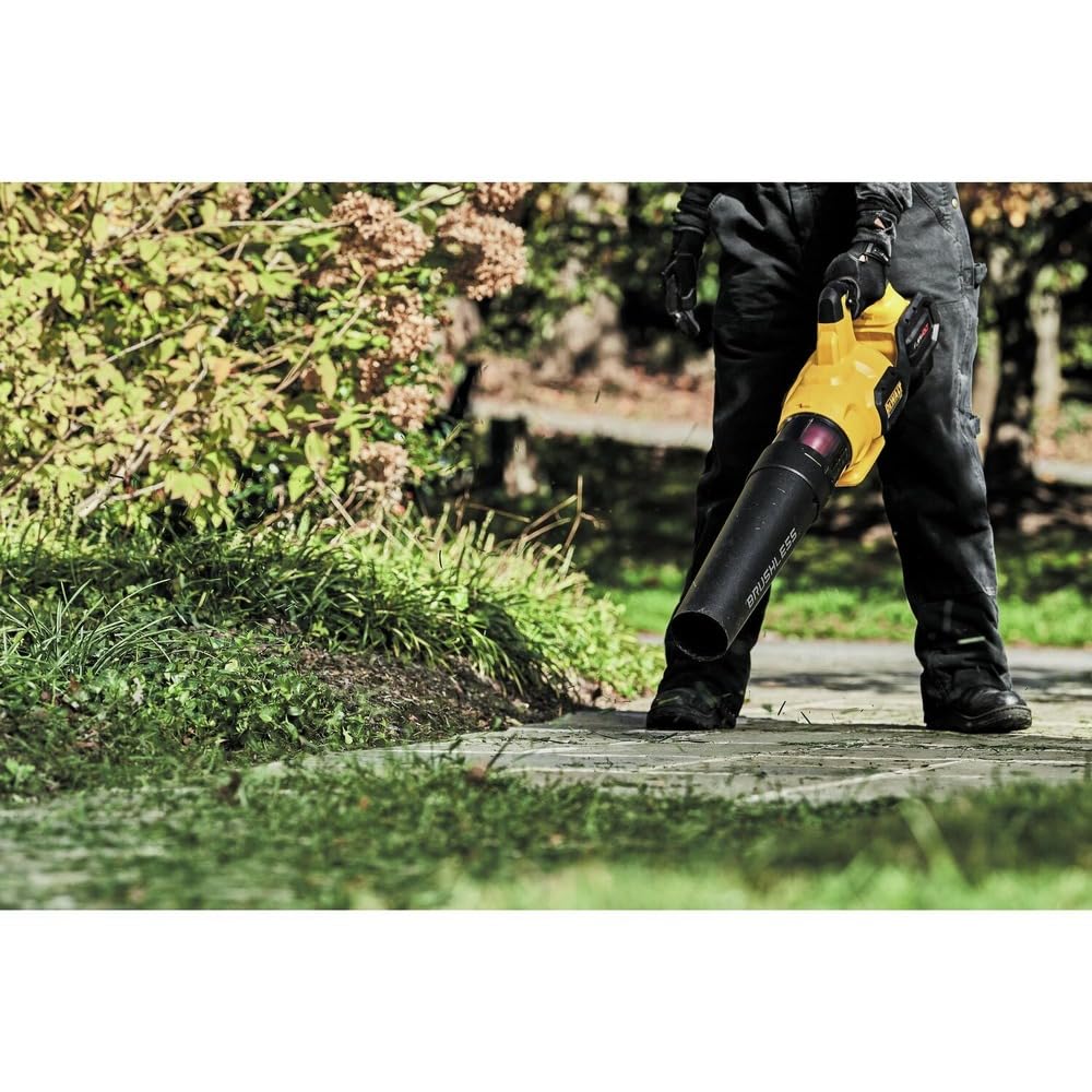 DEWALT DCBL772B next to ruler showing size and scale for storage and transport convenience