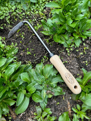 DeWit weeder in garden between plants demonstrating minimal disturbance benefit