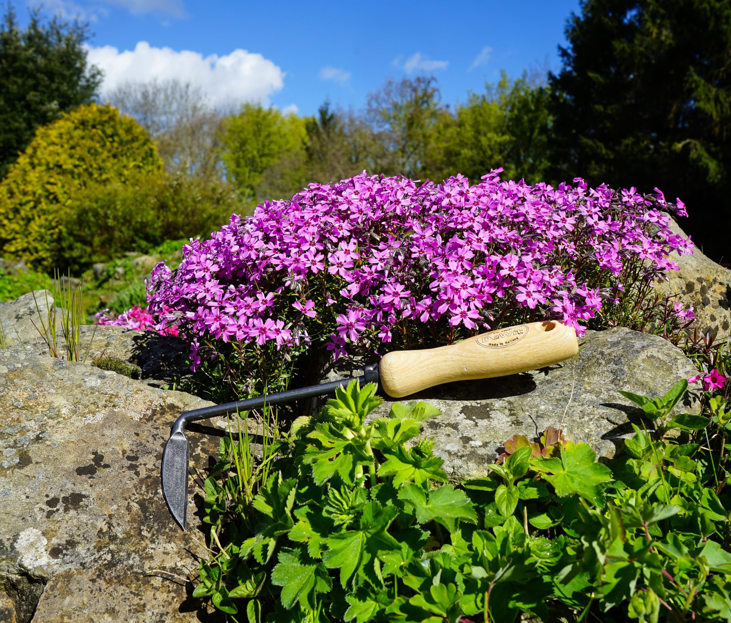 DeWit weeder next to ruler showing 11.75-inch length for scale and reach