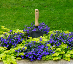 DeWit trowel in use transferring soil into a pot for faster potting