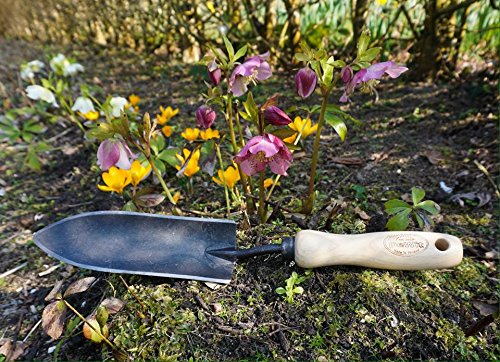 DeWit trowel in use planting a bulb to show precise narrow-blade benefit