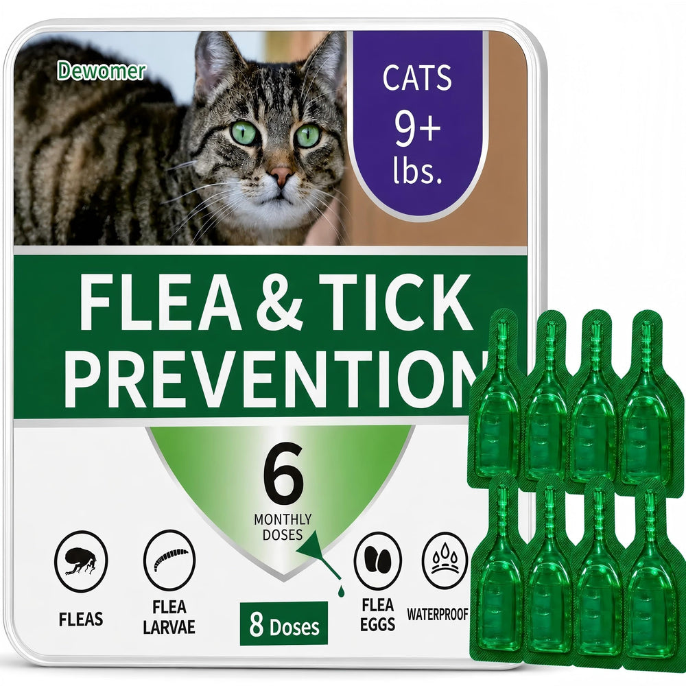 Dewomer front packaging showing eight-dose box and clear labeling for easy identification and storage