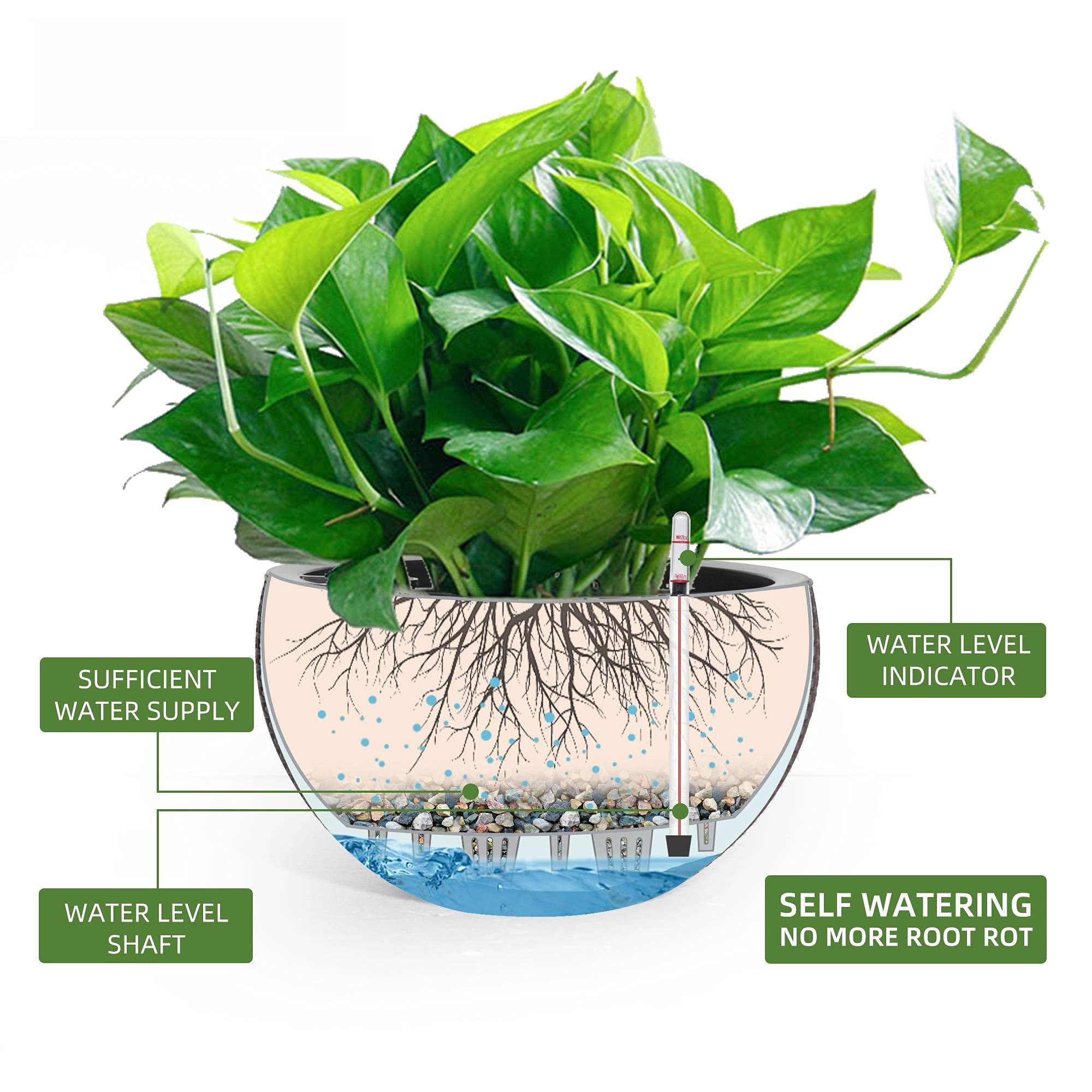 Dexceder close-up of deep basin illustrating extra root space benefit