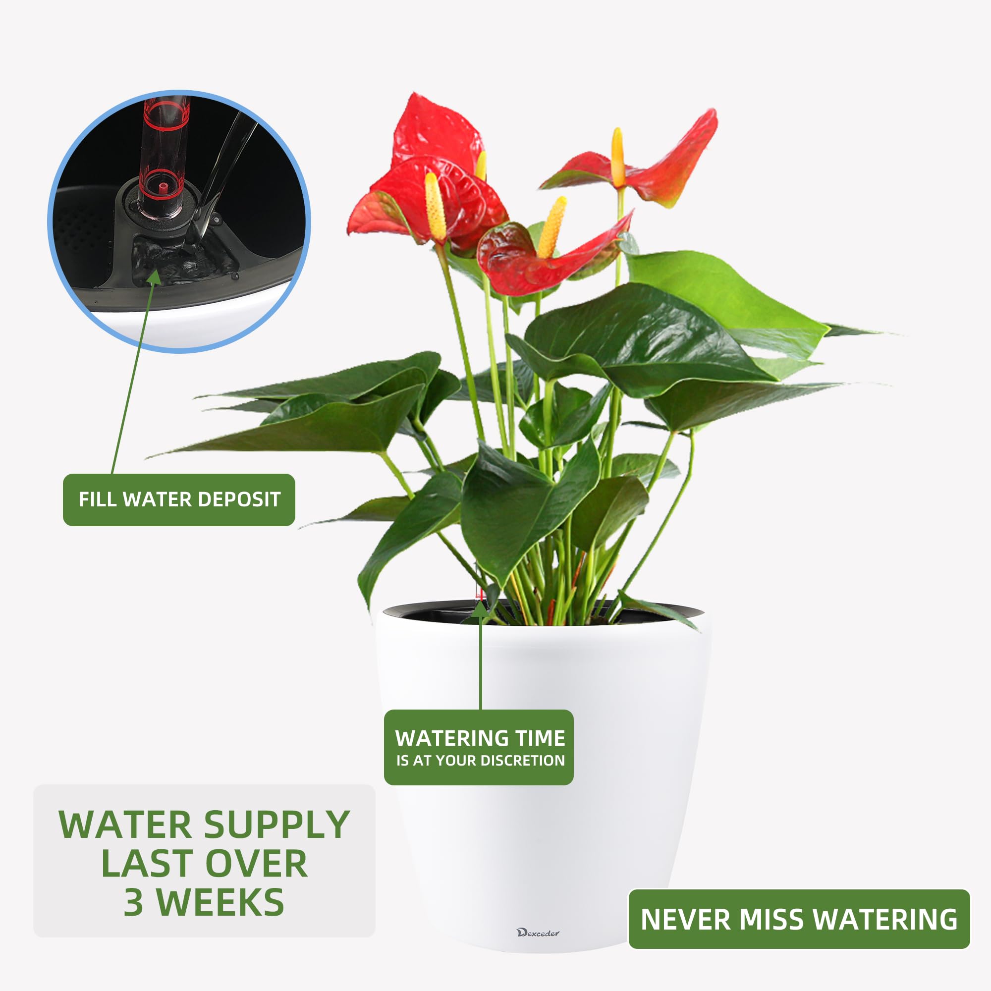 Dexceder planter in living room setting demonstrating stylish decor and space saving