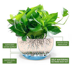 Dexceder close-up of deep inner basin highlighting room for larger root systems