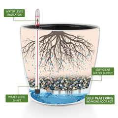 Dexceder removable inner basin removed for easy repotting benefit: tidy maintenance