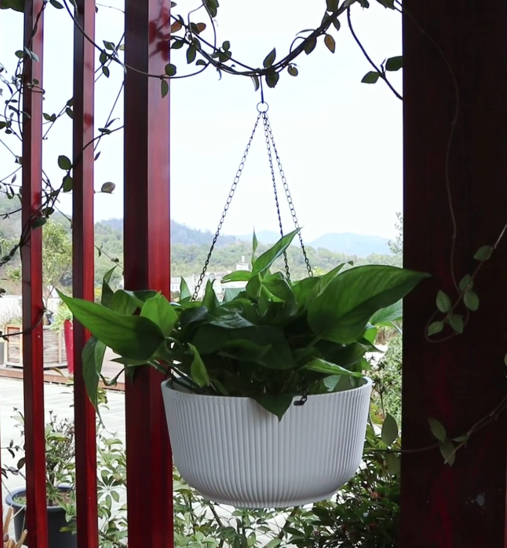 Dexceder planter next to standard pot showing 11.2-inch planting space