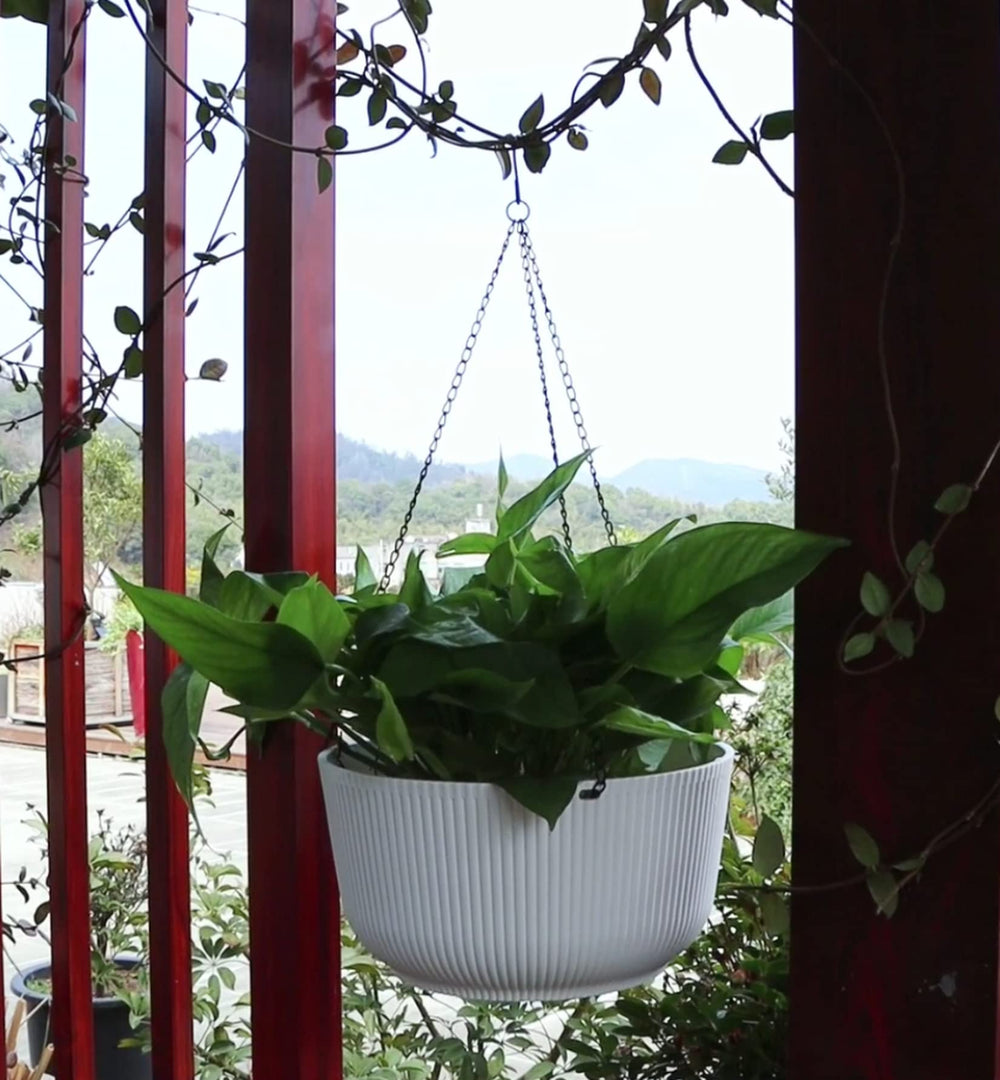 Dexceder planter next to standard pot showing 11.2-inch planting space