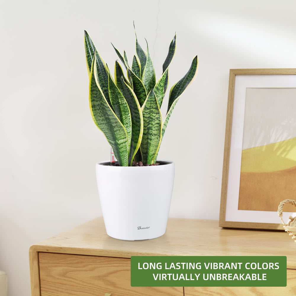 Dexceder planter next to standard pot showing scale benefit: fits small to medium plants