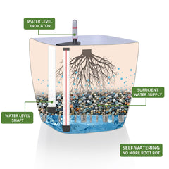 Dexceder water gauge close-up indicating reservoir level for simplified watering