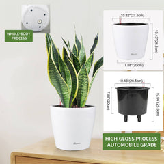 Dexceder water level indicator closeup for accurate watering and worry-free plant care