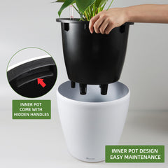 Dexceder caster wheels and base for smooth mobility and furniture-friendly movement