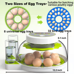 DEZHXHE small-bird egg tray detail illustrating flexible fit for quail and pigeon eggs
