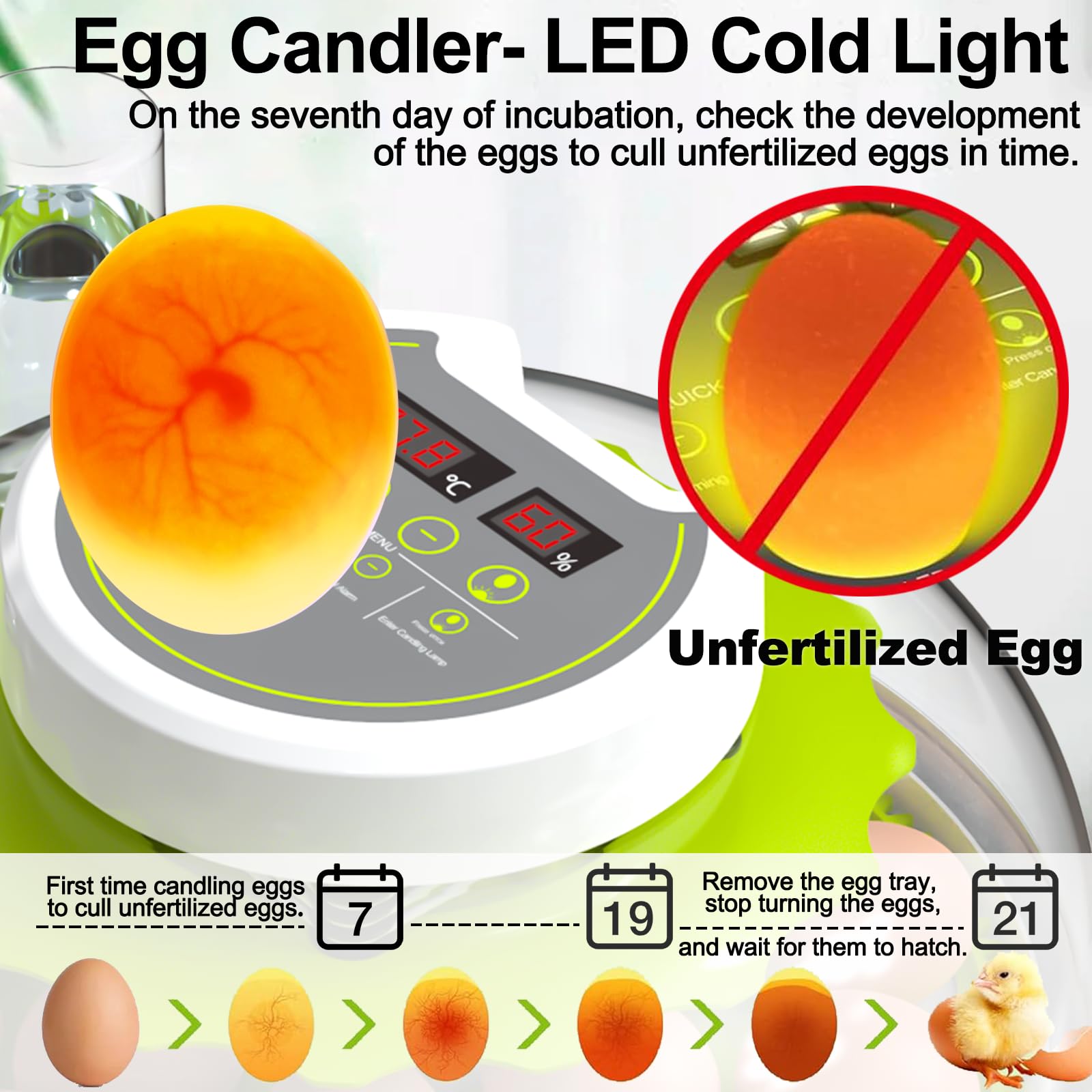 DEZHXHE standard egg tray close-up showing secure holders and easy removal benefit