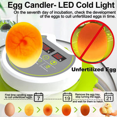 DEZHXHE standard egg tray close-up showing secure holders and easy removal benefit
