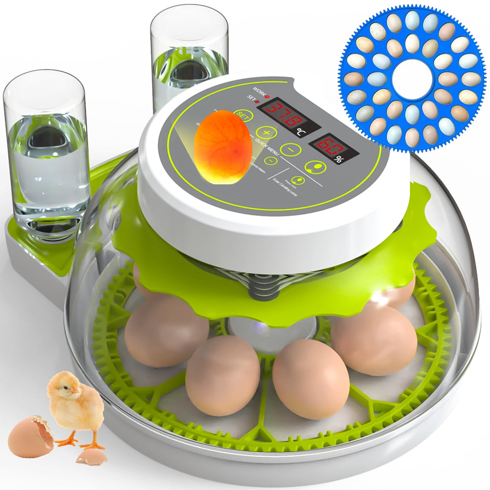 DEZHXHE incubator front panel showing controls and clear lid for easy monitoring