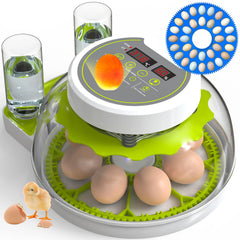 DEZHXHE incubator front panel showing controls and clear lid for easy monitoring