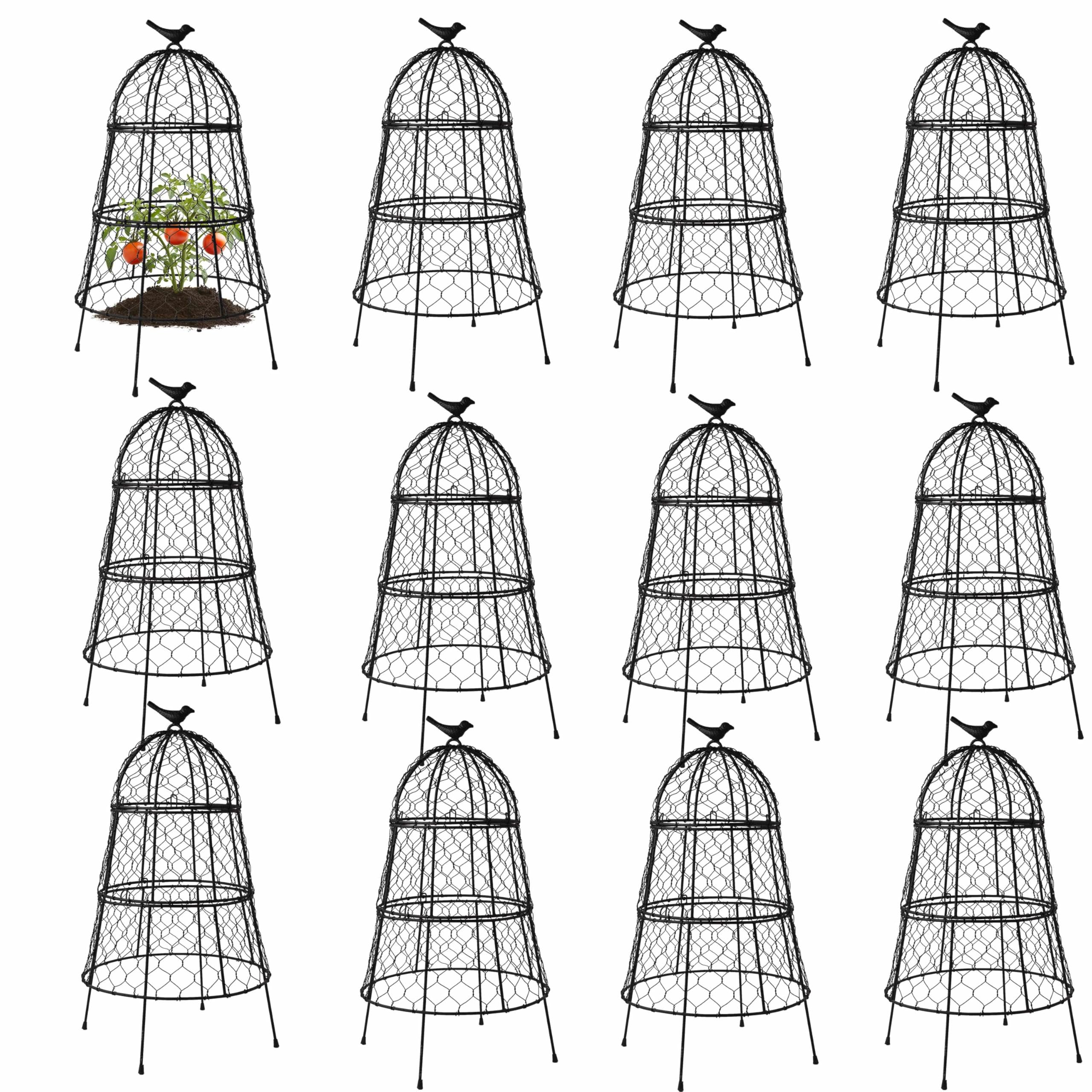 DHAMPOOH front view of 12-pack cloches showing compact packaged set and durability