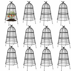 DHAMPOOH front view of 12-pack cloches showing compact packaged set and durability