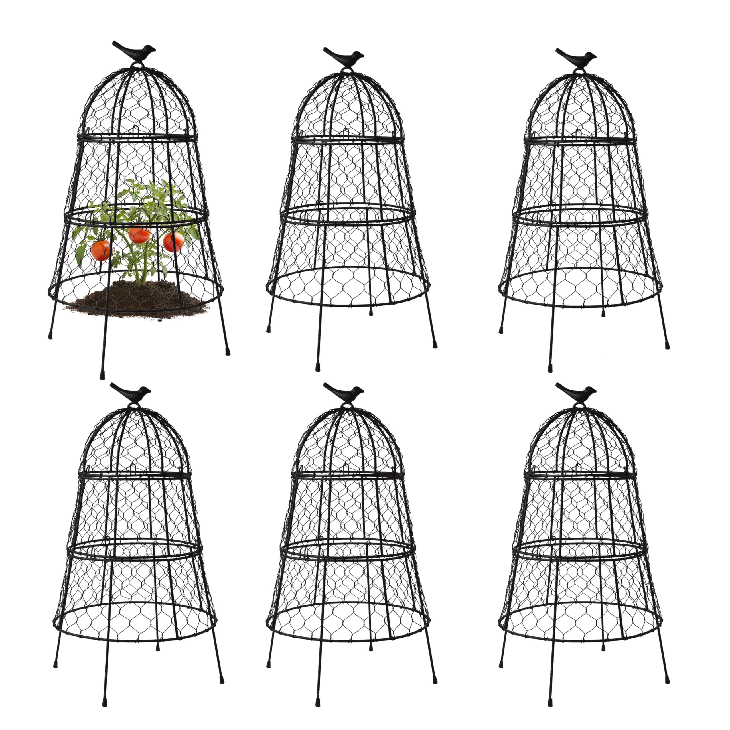 DHAMPOOH front view of six cloches showing full set and protection benefits