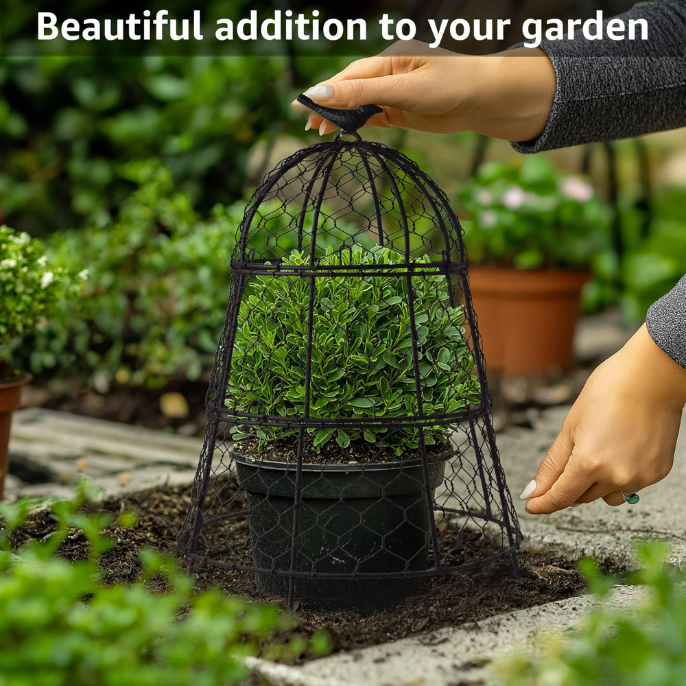 DHAMPOOH cloche in vegetable bed protecting plants while allowing pollinators