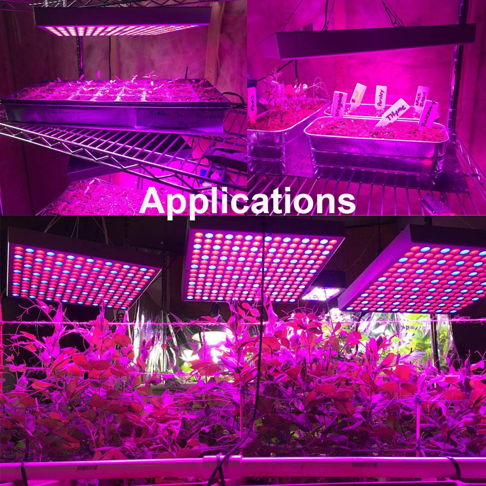 Diboys bulb illuminating seedling tray to boost early plant development