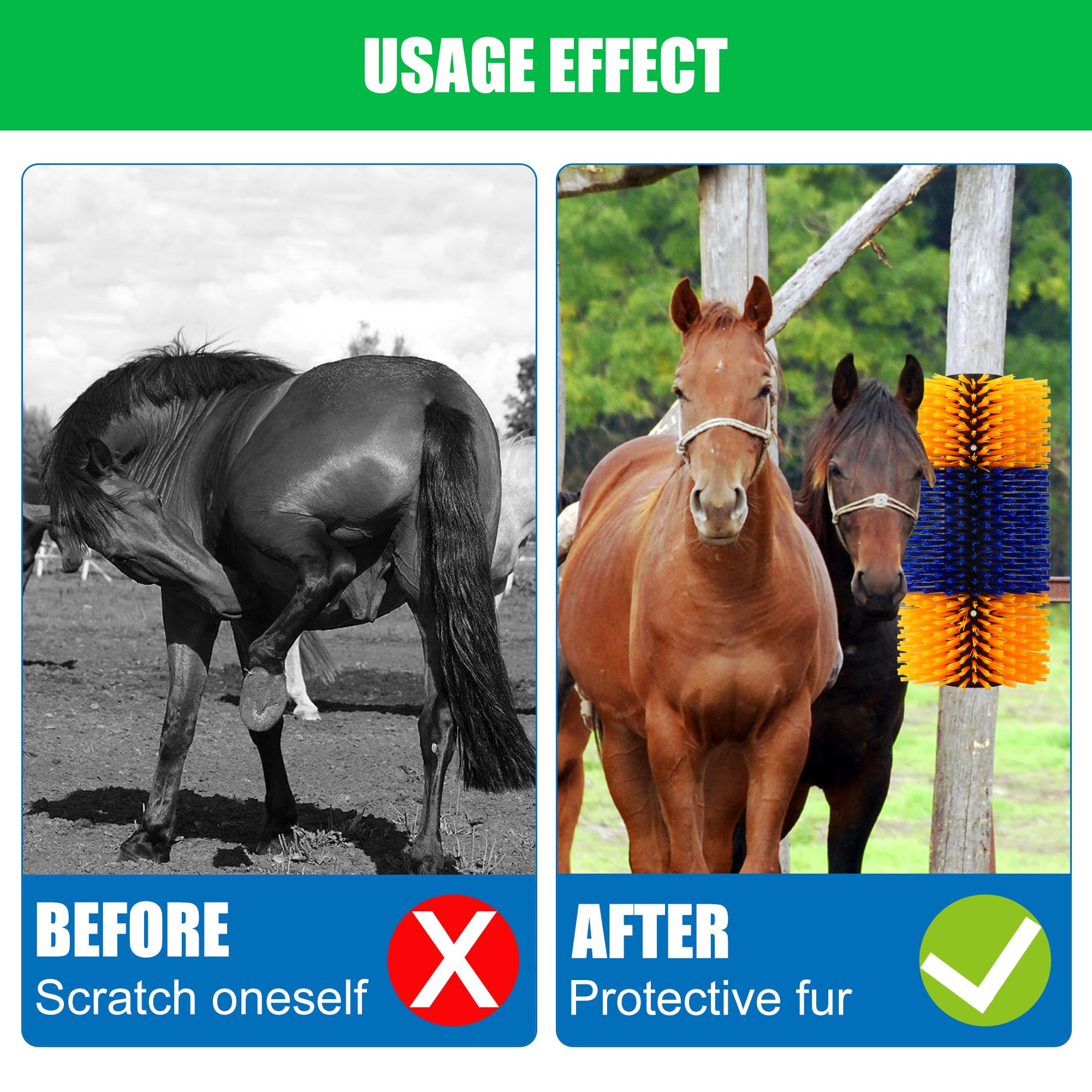 DiDiBirDi brush installed on stall wall protecting fence and enabling self-grooming