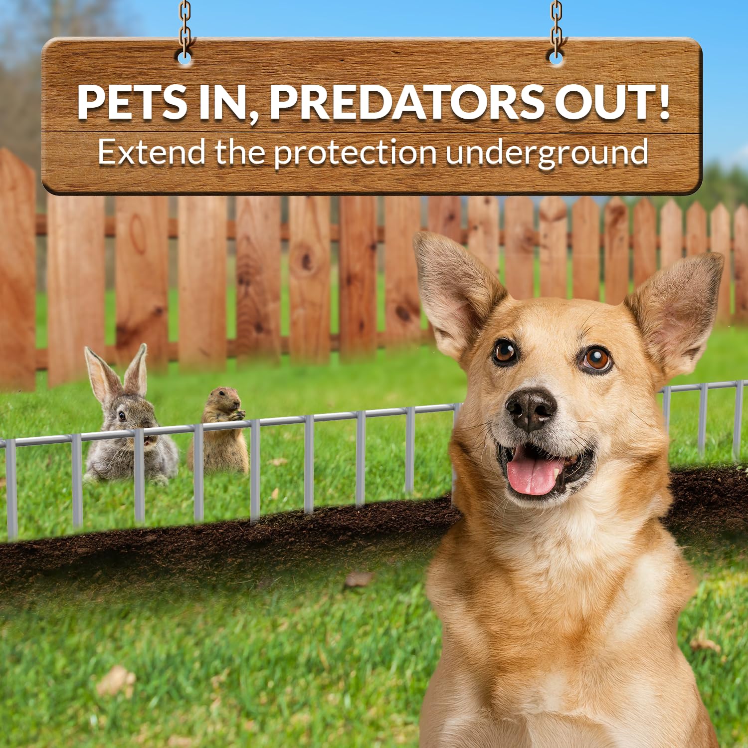 Dig Defence keeping a small dog contained for pet safety