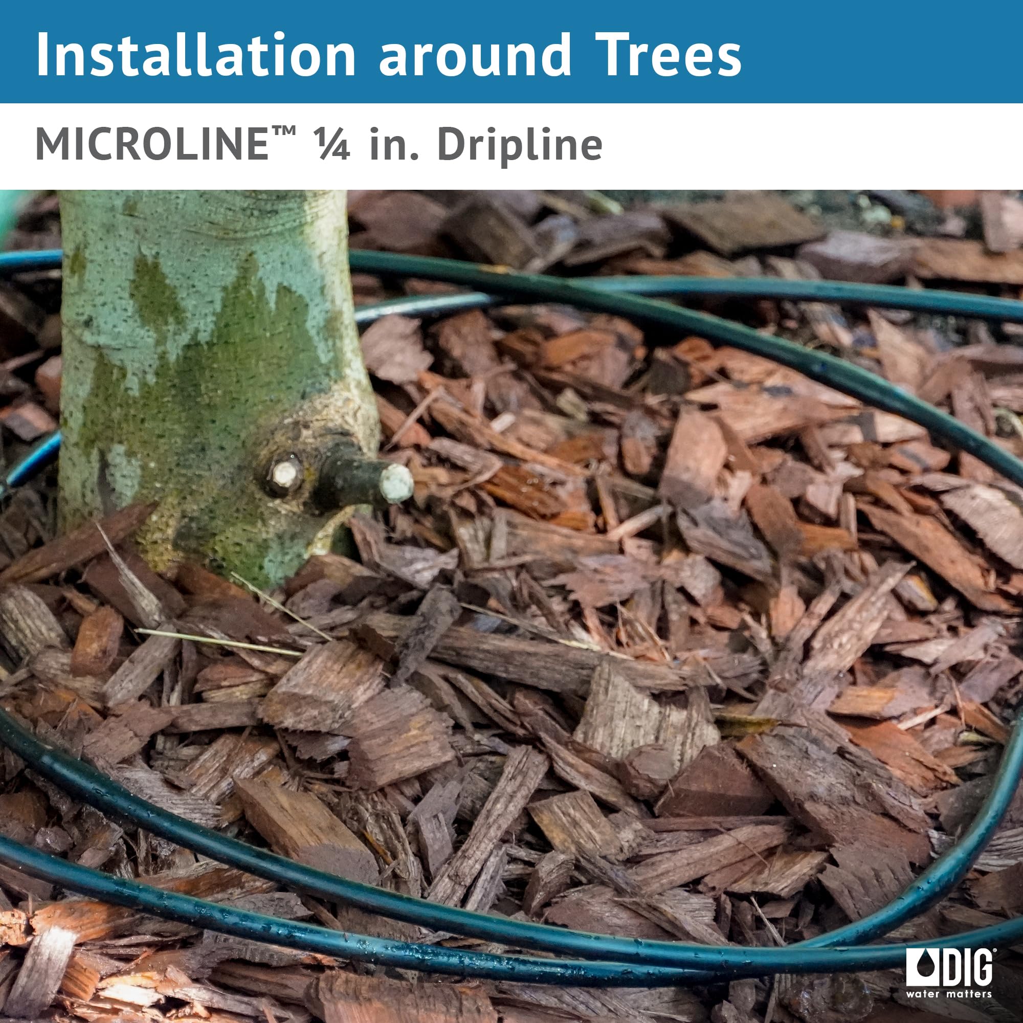 DIG ML-506 looped around shrubs in landscape, illustrates close-spacing irrigation