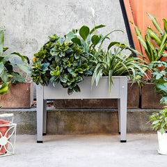 DIGTER planter in use with herbs growing showing ergonomic gardening convenience