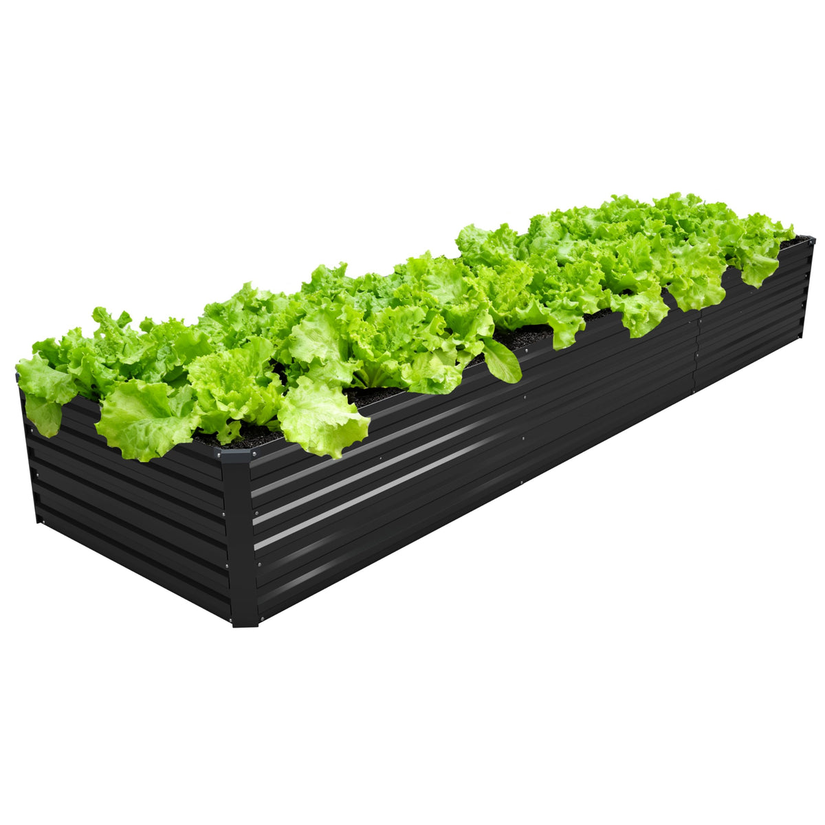 DIIYIV front view of full raised bed showing clean black finish and sturdy structure